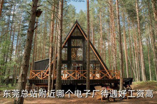 東莞總站附近哪個電子廠待遇好工資高