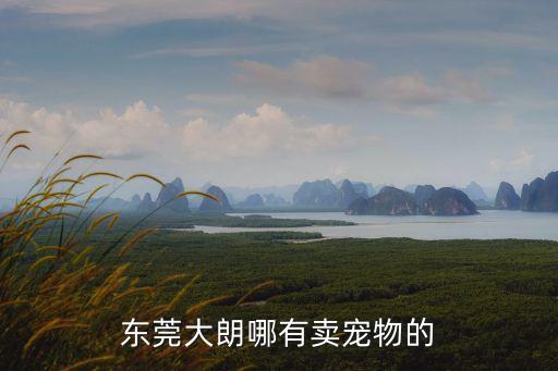 東莞大朗哪有賣寵物的