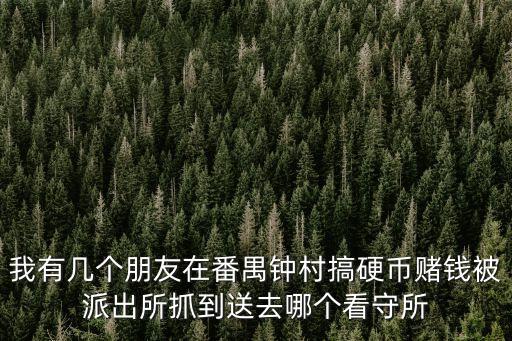 我有幾個朋友在番禺鐘村搞硬幣賭錢被派出所抓到送去哪個看守所