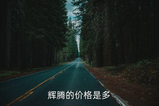 輝騰的價(jià)格是多