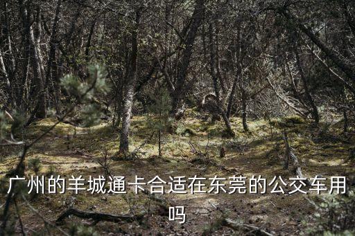 羊城通可以在東莞用打折嗎，廣州的羊城通卡合適在東莞的公交車用嗎