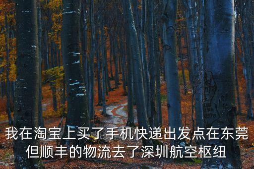 我在淘寶上買了手機快遞出發點在東莞但順豐的物流去了深圳航空樞紐