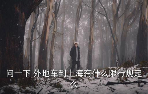 問一下 外地車到上海有什么限行規定么
