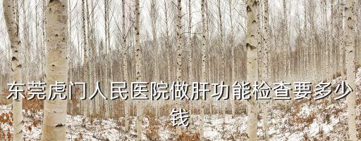 東莞虎門人民醫院做肝功能檢查要多少錢