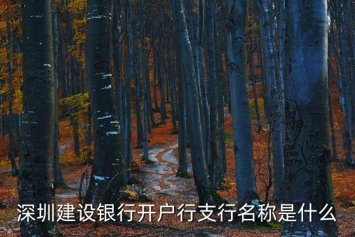 深圳園博園建設銀行，深圳建設銀行開戶行支行名稱是什么