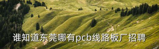 誰知道東莞哪有pcb線路板廠招聘