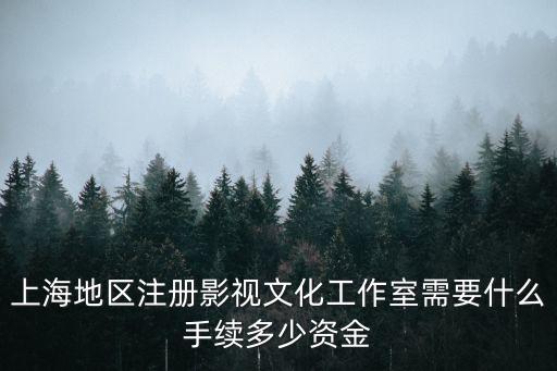 上海地區(qū)注冊影視文化工作室需要什么手續(xù)多少資金