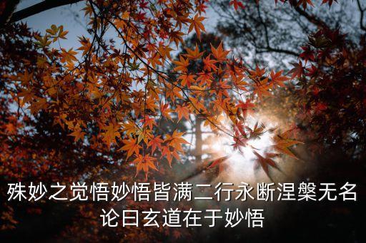 殊妙之覺悟妙悟皆滿二行永斷涅槃無名論曰玄道在于妙悟