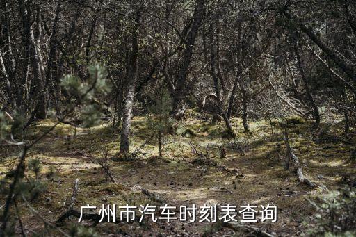 廣州長途客運大巴時刻表查詢，廣州市汽車時刻表查詢