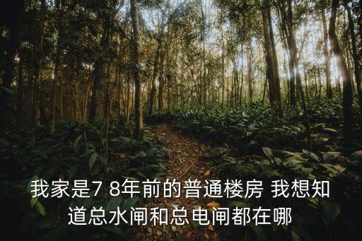 我家是7 8年前的普通樓房 我想知道總水閘和總電閘都在哪