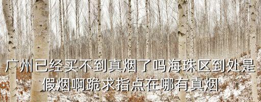 廣州已經買不到真煙了嗎海珠區到處是假煙啊跪求指點在哪有真煙