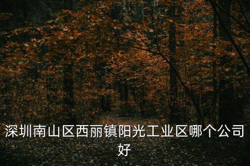 深圳南山區西麗鎮陽光工業區哪個公司好