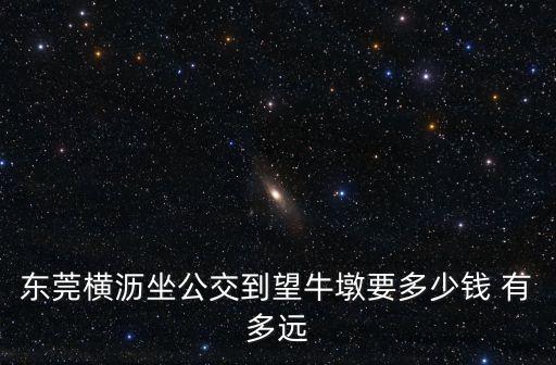 東莞橫瀝坐公交到望牛墩要多少錢 有多遠(yuǎn)