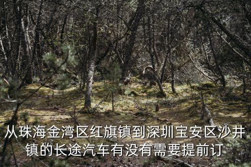 從珠海金灣區(qū)紅旗鎮(zhèn)到深圳寶安區(qū)沙井鎮(zhèn)的長(zhǎng)途汽車(chē)有沒(méi)有需要提前訂