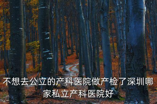 不想去公立的產科醫院做產檢了深圳哪家私立產科醫院好