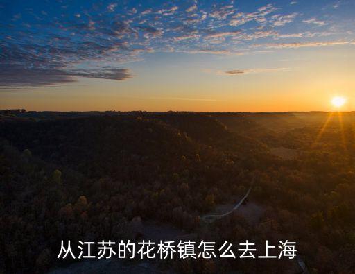 從江蘇的花橋鎮怎么去上海