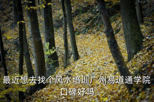 最近想去找個風水培訓廣州易道通學院口碑好嗎