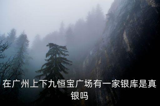 在廣州上下九恒寶廣場有一家銀庫是真銀嗎