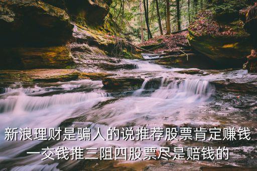 上海市新浪理財有限公司，新浪有理財產品嗎