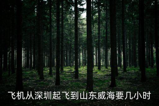 深圳到威海中轉濟南飛機，飛機從深圳起飛到山東威海要幾小時