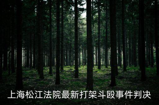上海市專門打民事案件，上海 鄰里糾紛案