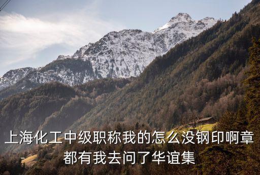 上海化工中級職稱我的怎么沒鋼印啊章都有我去問了華誼集