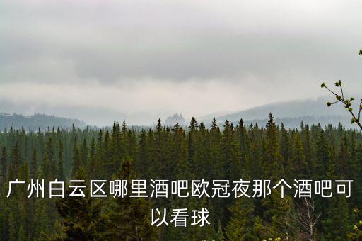 廣州白云區哪里酒吧歐冠夜那個酒吧可以看球