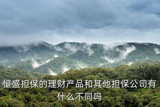 恒盛擔保的理財產品和其他擔保公司有什么不同嗎
