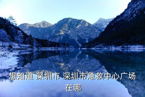 深圳市急救中心領(lǐng)導，想知道 深圳市 深圳市急救中心廣場 在哪
