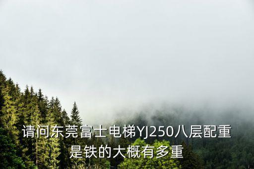 請問東莞富士電梯YJ250八層配重是鐵的大概有多重