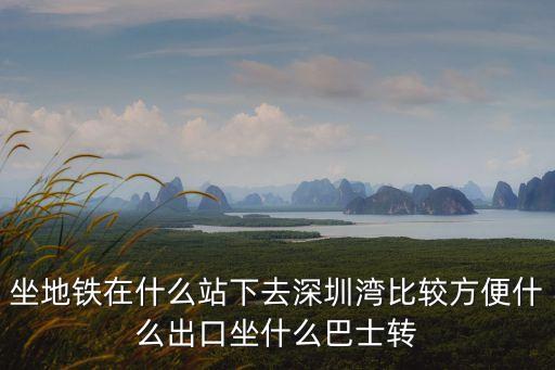 坐地鐵在什么站下去深圳灣比較方便什么出口坐什么巴士轉