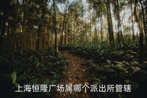 上海市靜安分局支隊，上海恒隆廣場屬哪個派出所管轄