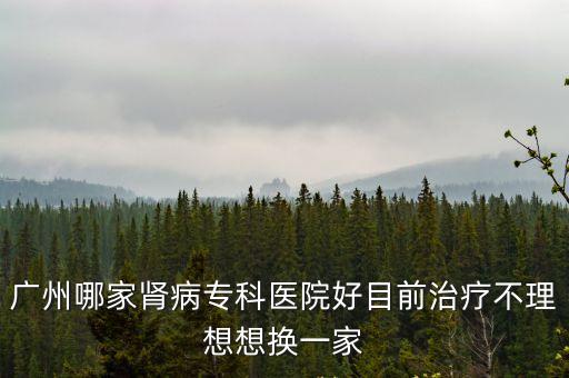 廣州哪家腎病專科醫院好目前治療不理想想換一家