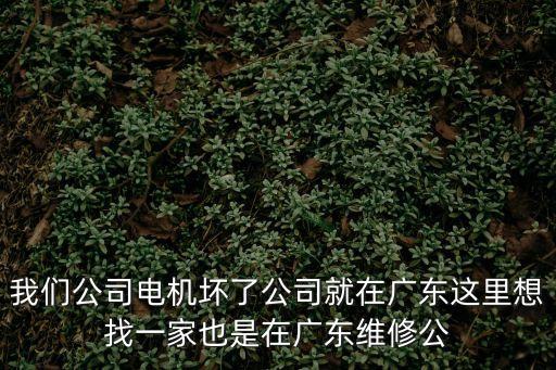 廣州藍電電機維修，電機故障維修