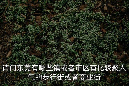 請問東莞有哪些鎮或者市區有比較聚人氣的步行街或者商業街