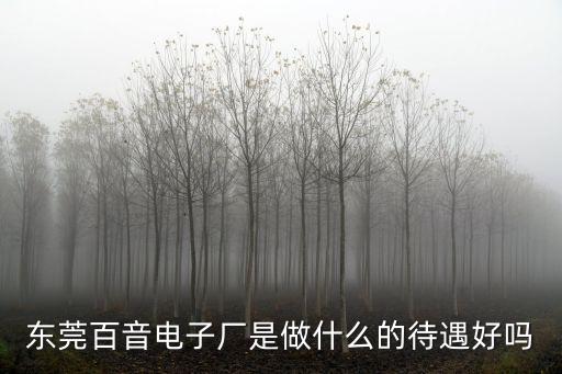 東莞百思電子廠，東莞百音電子廠是做什么的待遇好嗎