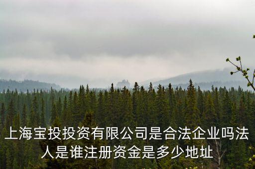 上海寶投投資有限公司是合法企業嗎法人是誰注冊資金是多少地址