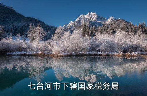 七臺河 深圳稅局賈，交通處罰單編號230902065281725是那個地區的違章怎么能查到