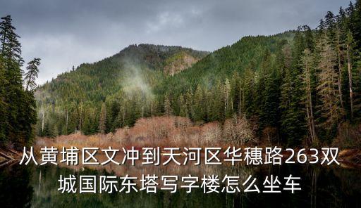 從黃埔區文沖到天河區華穗路263雙城國際東塔寫字樓怎么坐車
