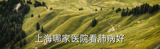 上海哪家醫院看肺病好