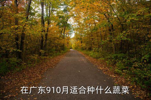 在廣東910月適合種什么蔬菜