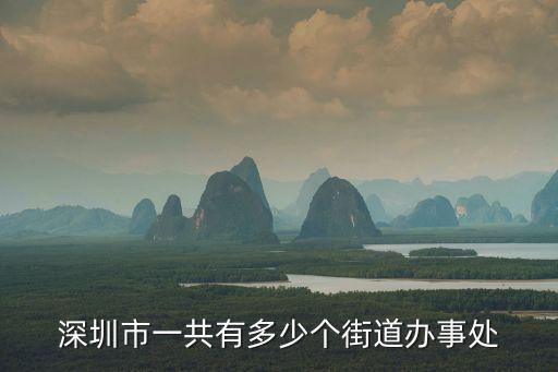 深圳市一共有多少個街道辦事處