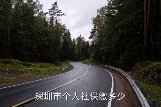 深圳社保自繳金額，深圳戶口個人交社保需要多少費用
