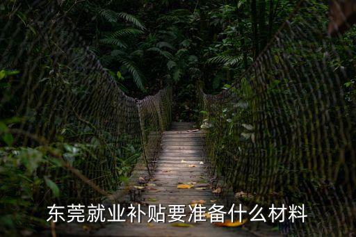 東莞市應屆畢業生就業補貼在線，東莞就業補貼要準備什么材料