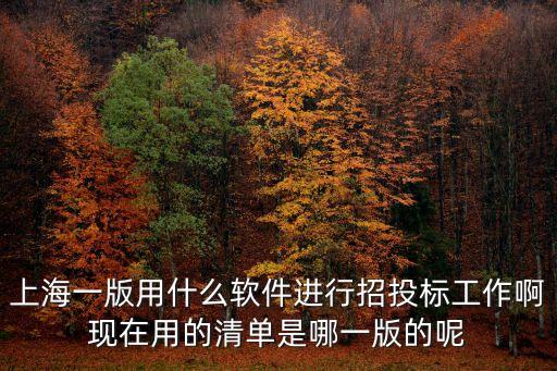 上海市民政局公益招投標，上海一版用什么軟件進行招投標工作啊現在用的清單是哪一版的呢