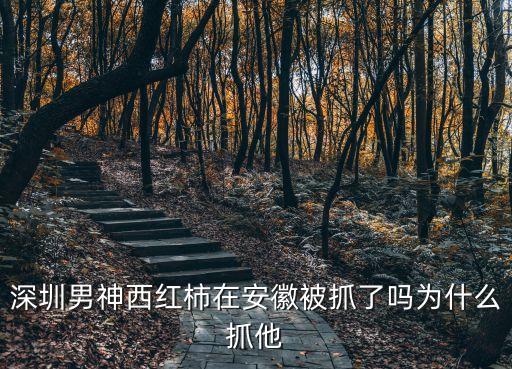 深圳男神西紅柿在安徽被抓了嗎為什么抓他