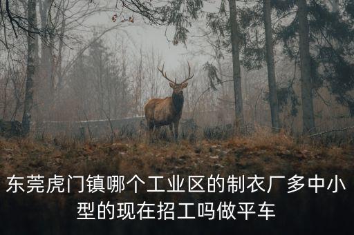 東莞虎門金元制衣廠紀(jì)錄片，虎門服裝廠