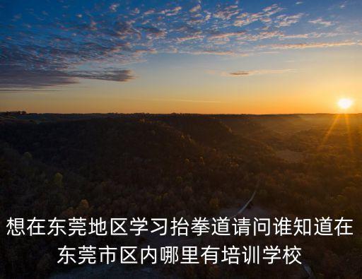 想在東莞地區學習抬拳道請問誰知道在東莞市區內哪里有培訓學校