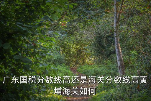 廣東國稅分數線高還是海關分數線高黃埔海關如何