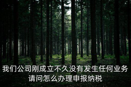 東莞東城代報稅辦理，我們公司剛成立不久沒有發生任何業務請問怎么辦理申報納稅